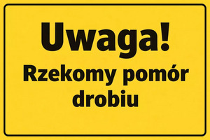 Gola zagrożona rzekomym pomorem drobiu !!!